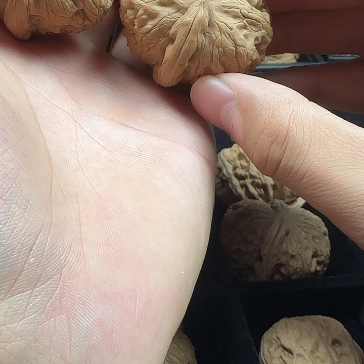 ****‍吊坠龙脊菩提啊啊啊啊啊啊啊元宝3