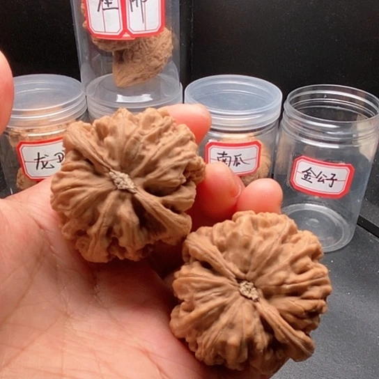 文玩核桃把件大粗筋