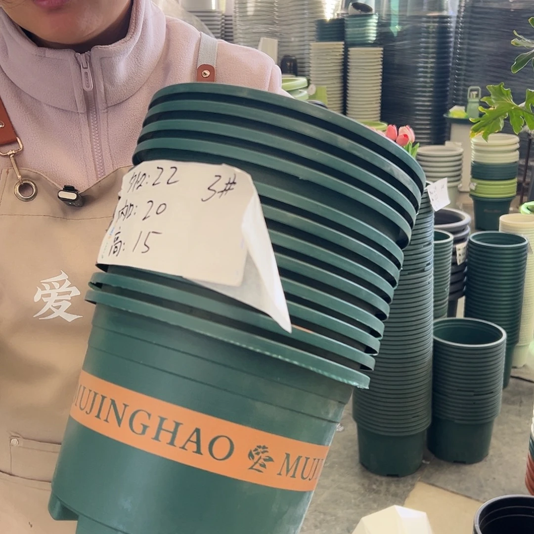 瑕疵矮胖3#墨绿色10个无托