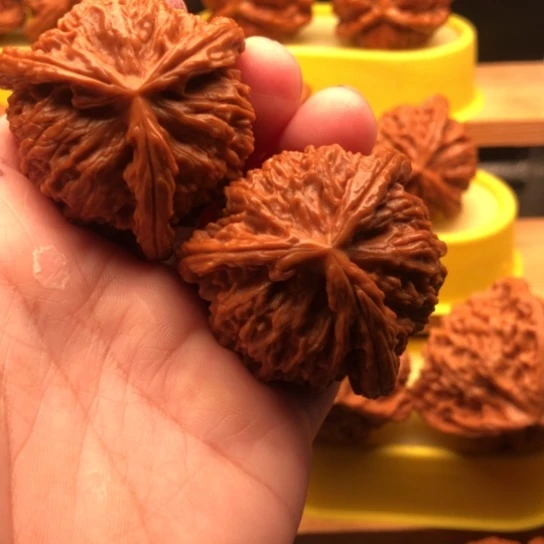 沧***气核桃核桃核桃核桃核桃