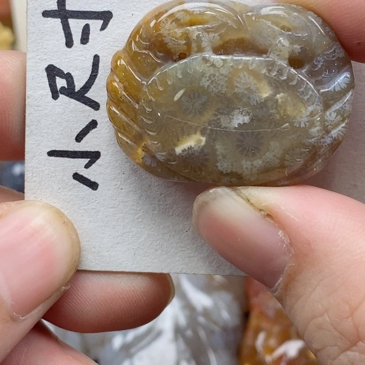 颈饰未镶嵌硅化珊瑚（珊瑚玉）