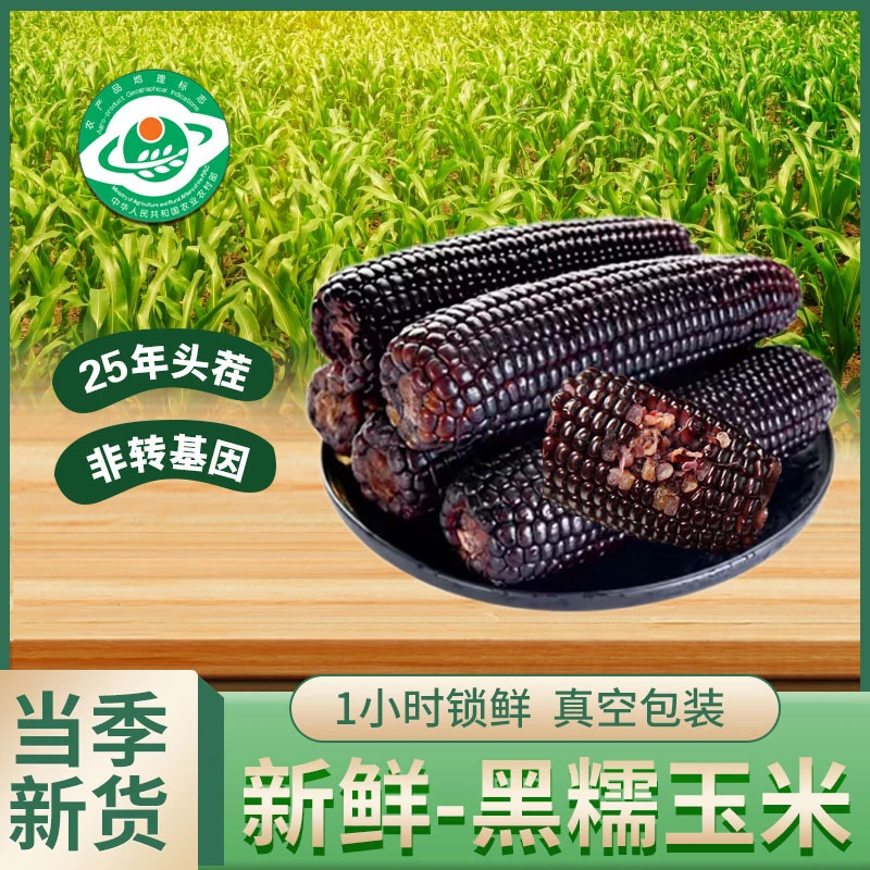 25年头茬黑糯玉米新鲜 甜糯玉米苞米220g*10根