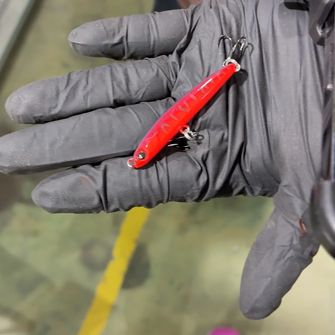 孤品2-1个颜色克重随机不退不换