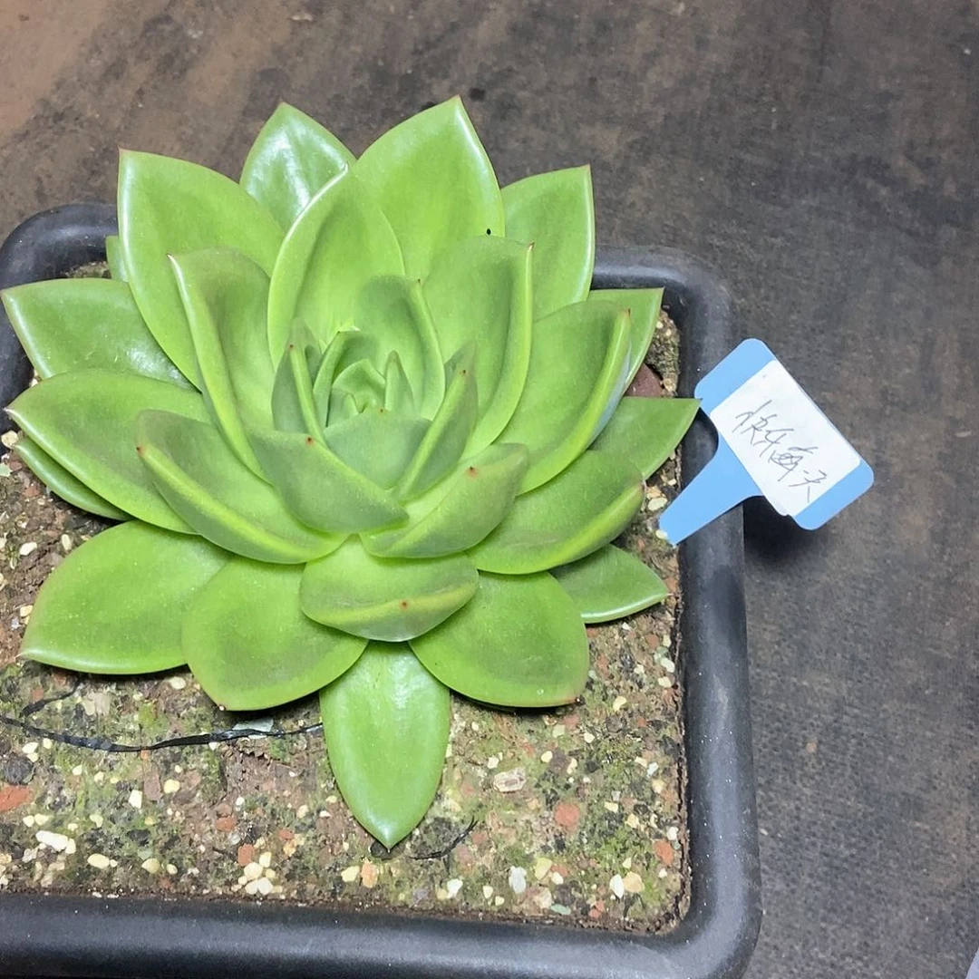 快****.福利202509 02