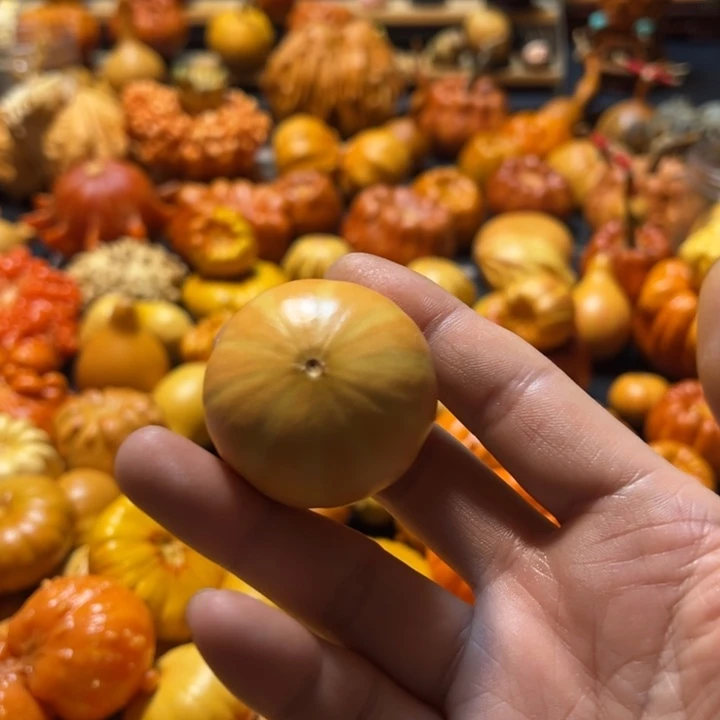 西瓜球双色墨西哥葫芦