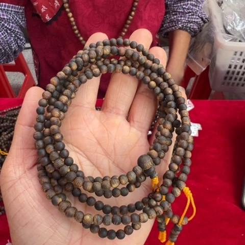 手串沉香乌身一代苗沉水卡0.4多样性发1条