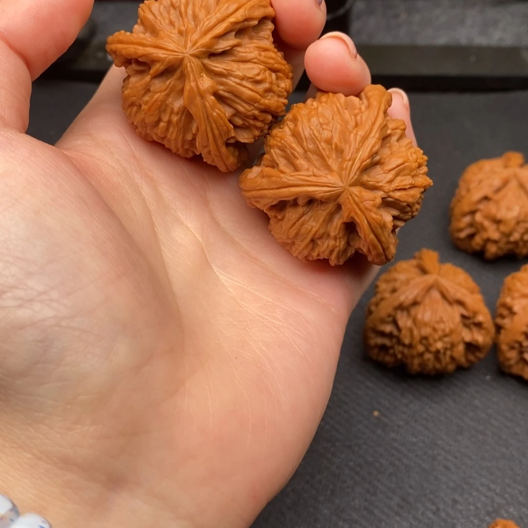 爱***猫白狮子11111111