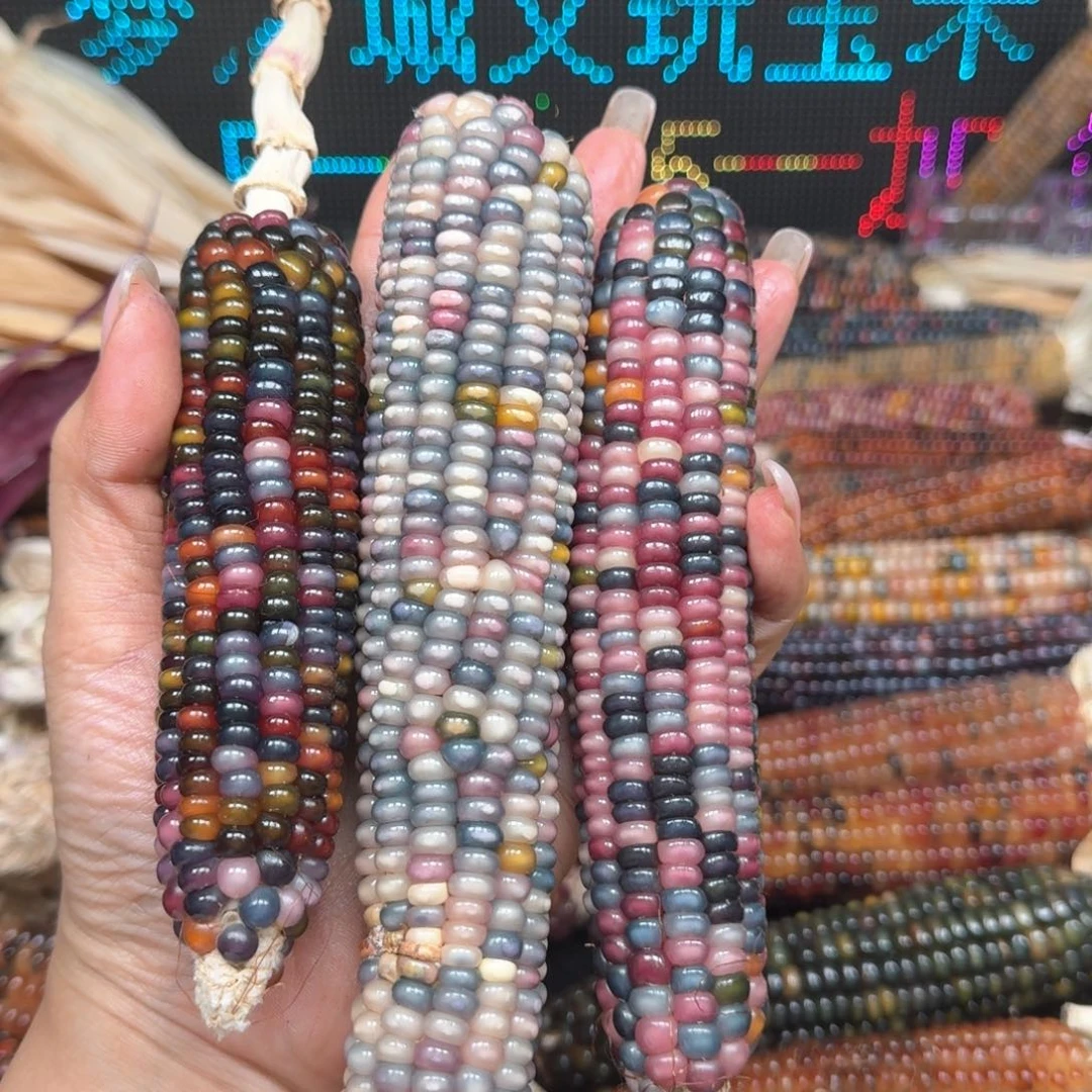 柏香籽/百香籽吊坠.**.