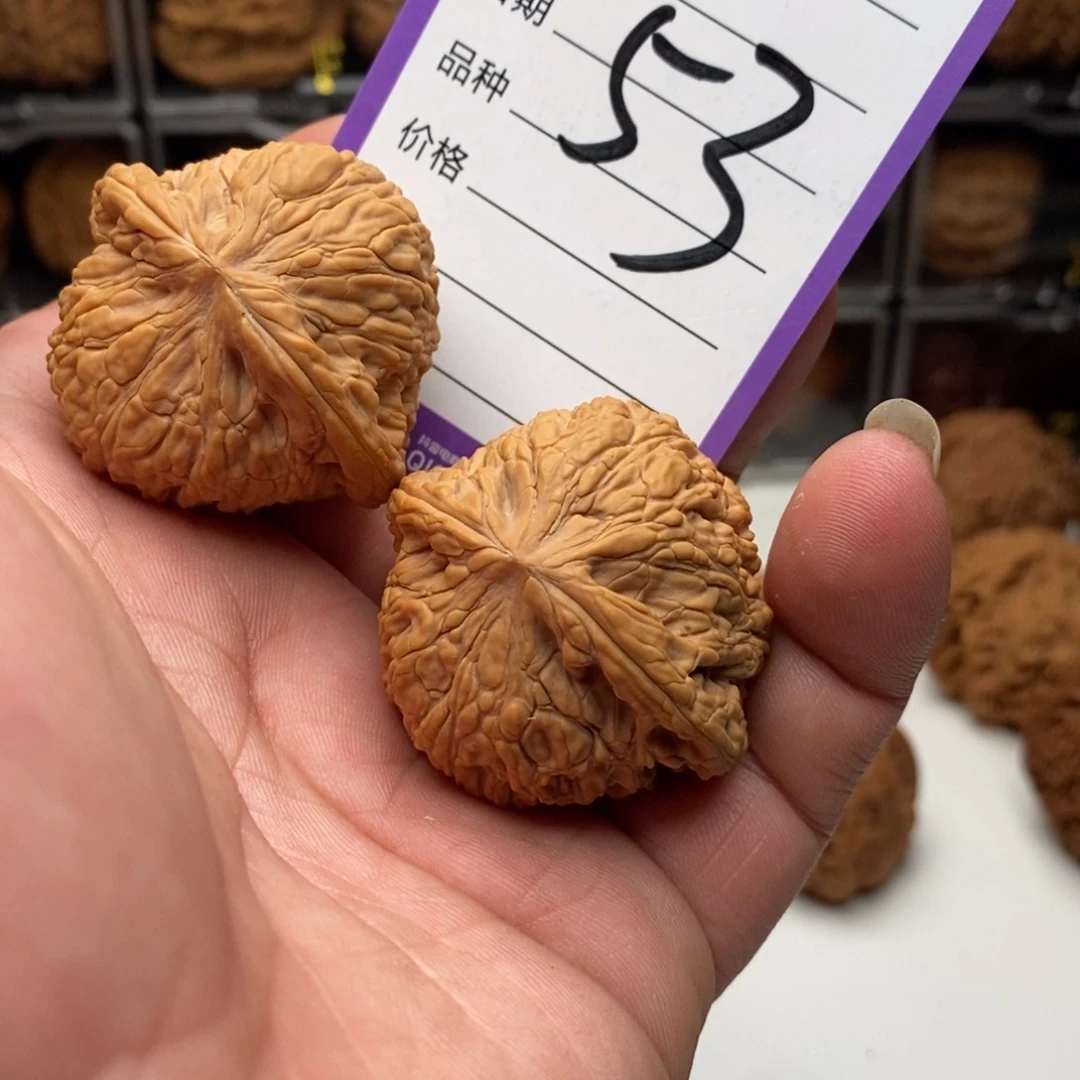 41全品泥鳅背狮子头，福利