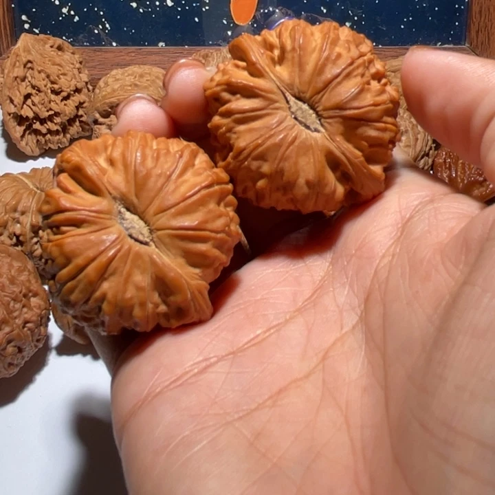 手串/手链核桃42白狮子