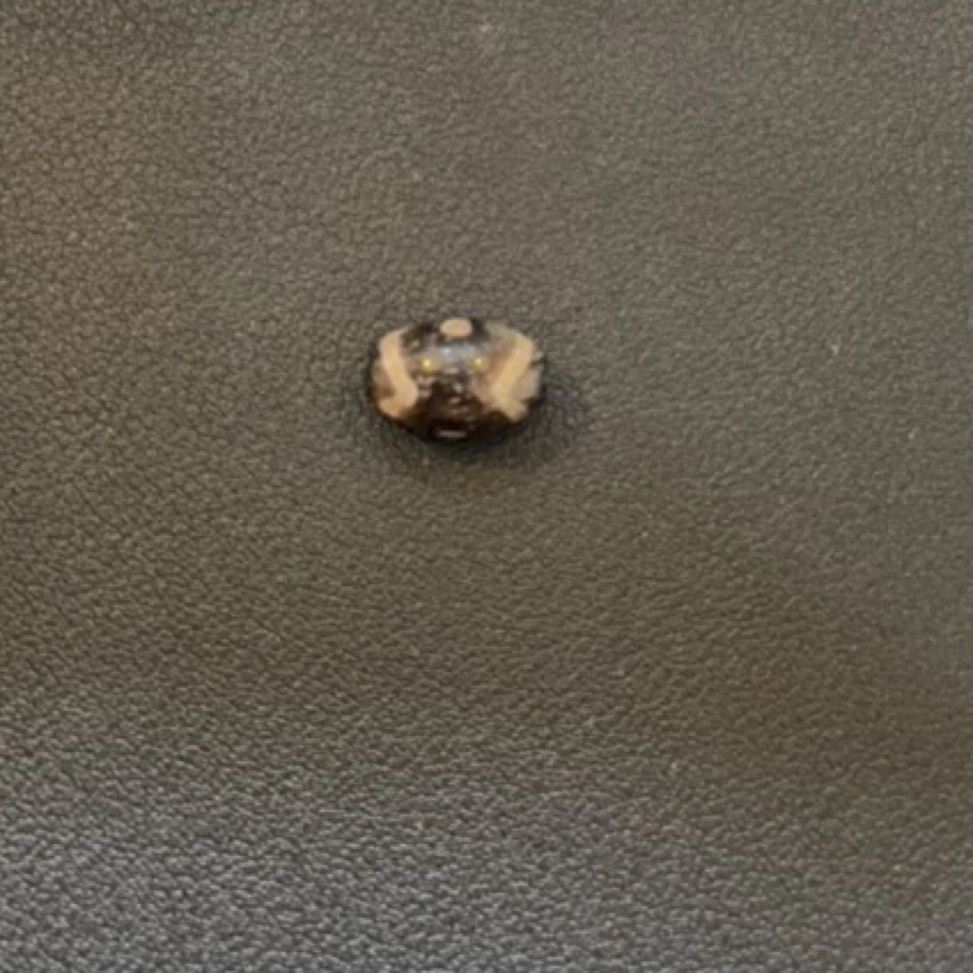 藏地密码，藏式珠子s292随机发
