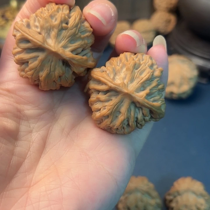 A***）木桃树是由原植物种子