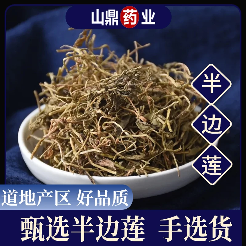 珣康药业【半边莲】精选货正宗 新鲜 半边花细米草半边连