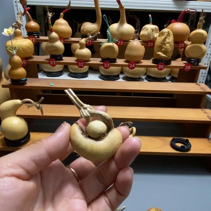 咪**咪葫芦花为主要成分组成成分和提取