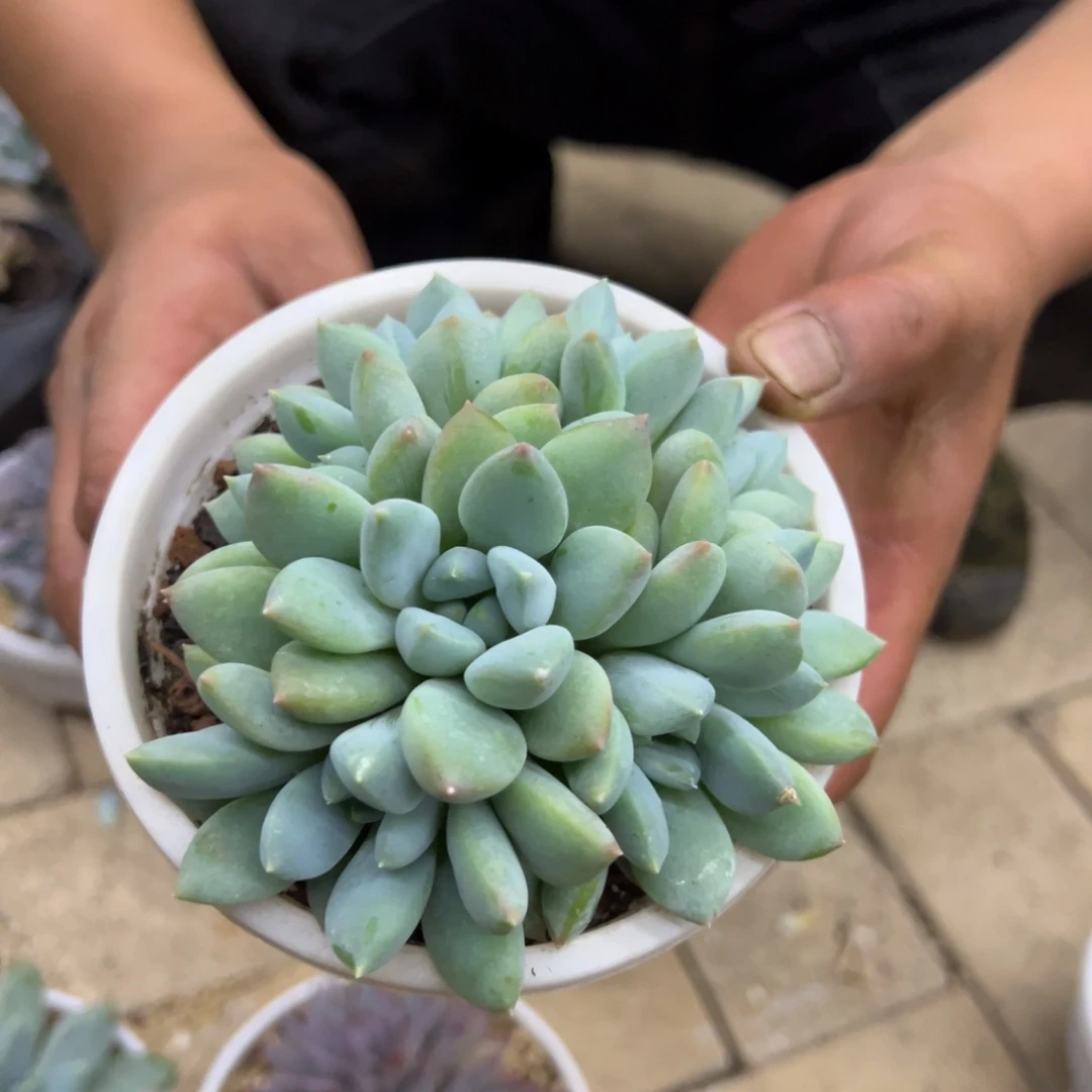 唐***儿我不喜欢这样一天