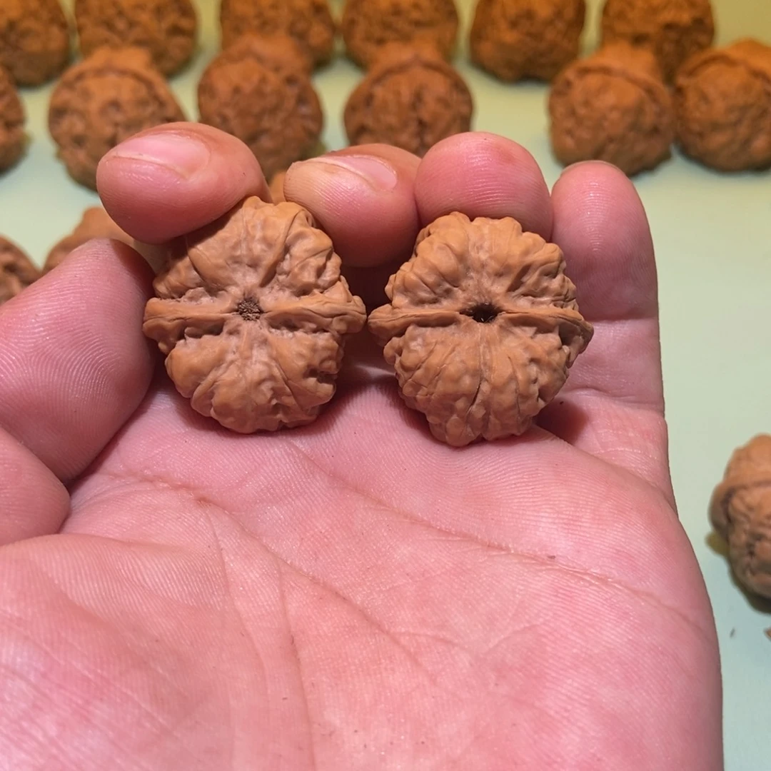 核桃手串/手链璞*蛤蟆头30一对