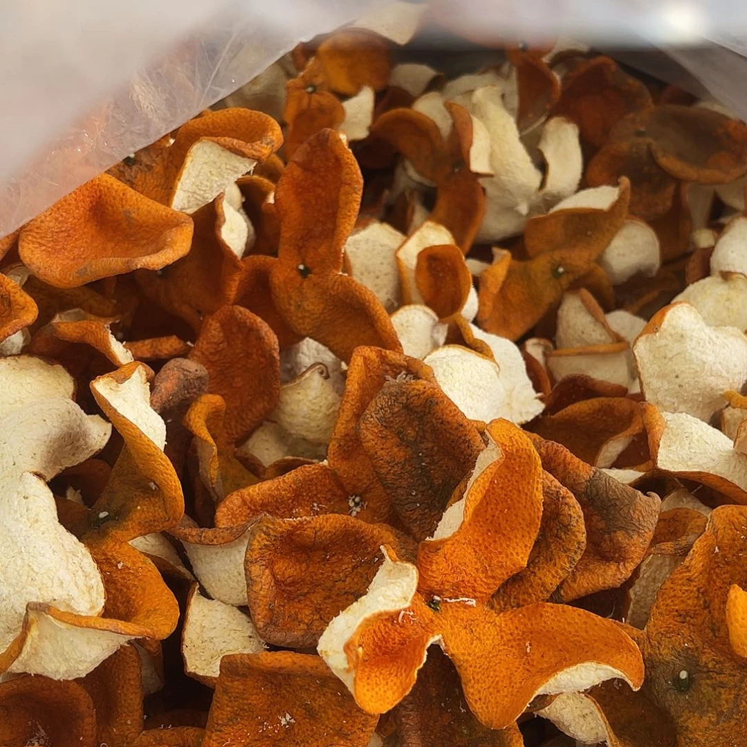 小个子狗腩枝枝柑2025