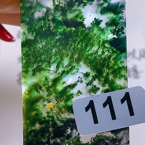 未镶嵌颈饰玛瑙/玉髓植**唔