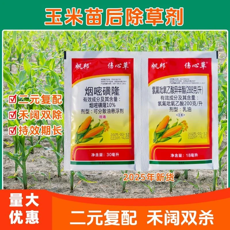 伤心草玉米田烟嘧磺隆氯氟吡氧乙酸玉米地烂根专用