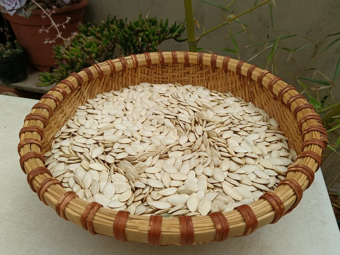 小五收山货【南瓜子】净重500克