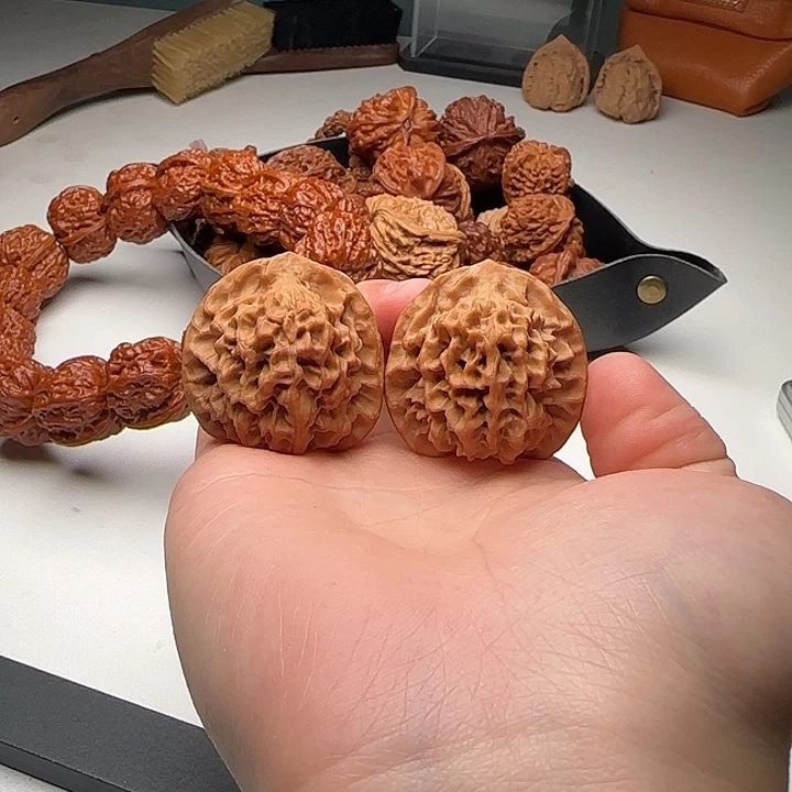 36-37-36秦闷B29号