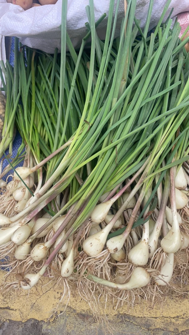 藠头 乡村赶集新鲜采摘生鲜藠头