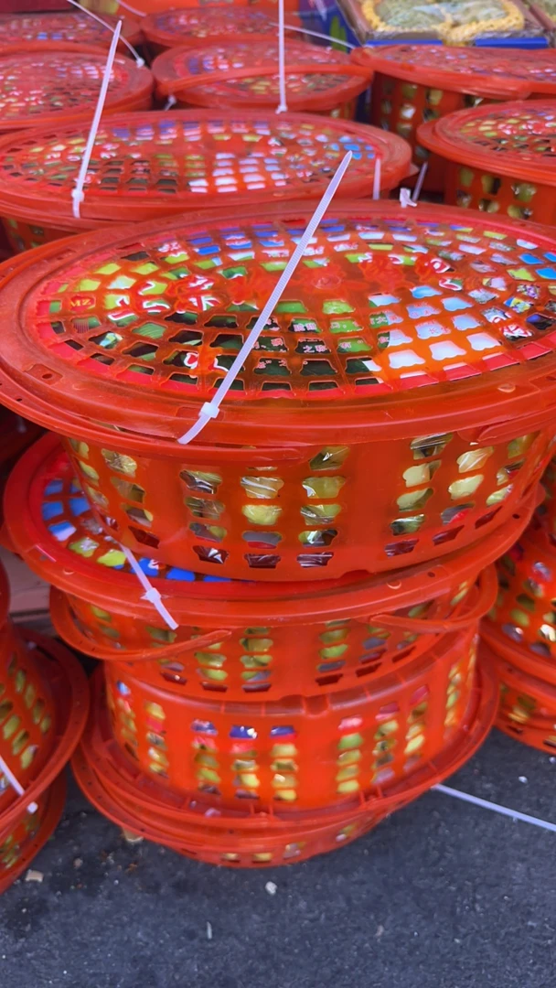 小青枣云南水果、一件包邮