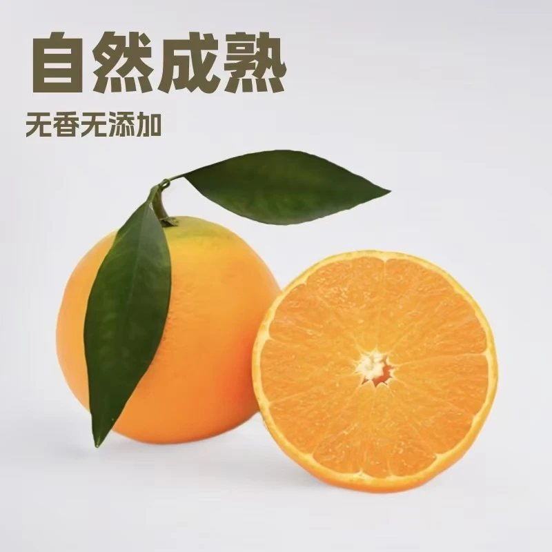 四川果冻橙子手剥橙当季新鲜橙子水果手剥甜柑橘果肉细腻爆汁