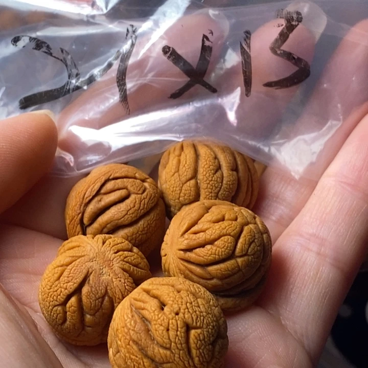 文玩核桃手串秦岭野生龙纹桃核21