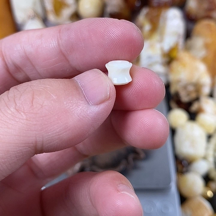 裸石琥珀未镶嵌我