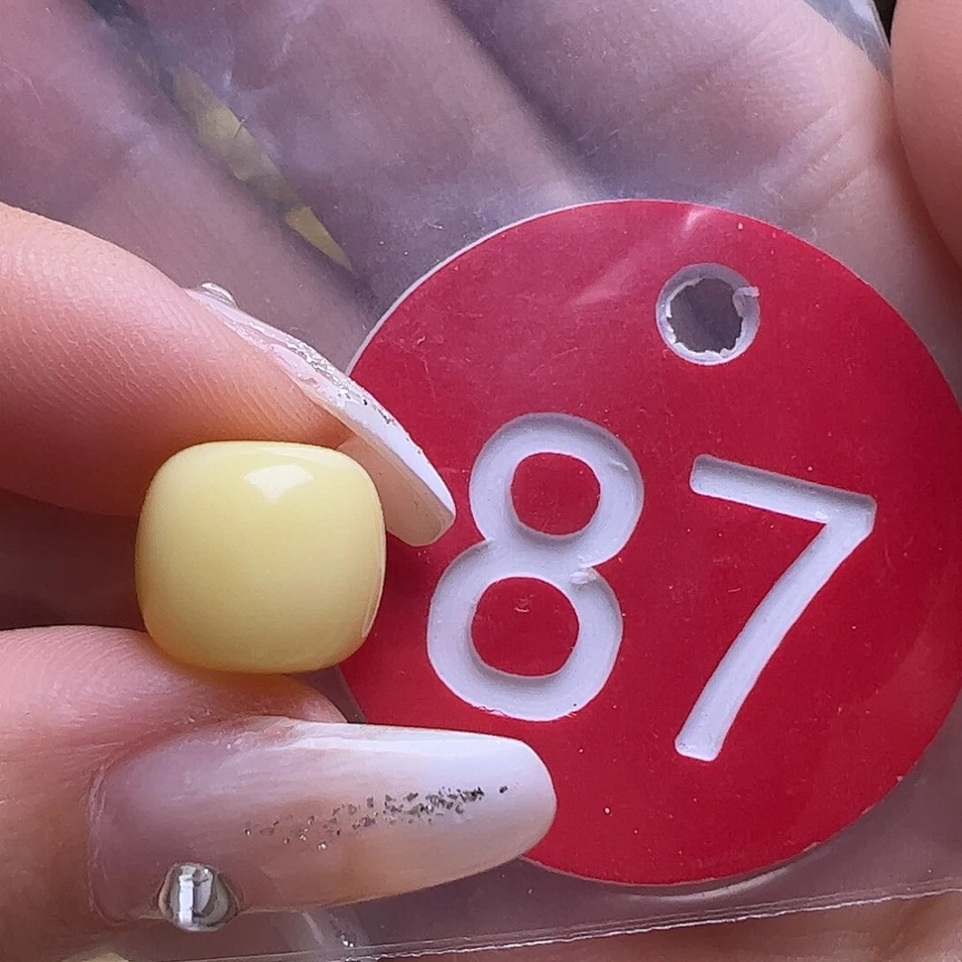 未镶嵌蜜蜡裸石宇****面10.8mm老型