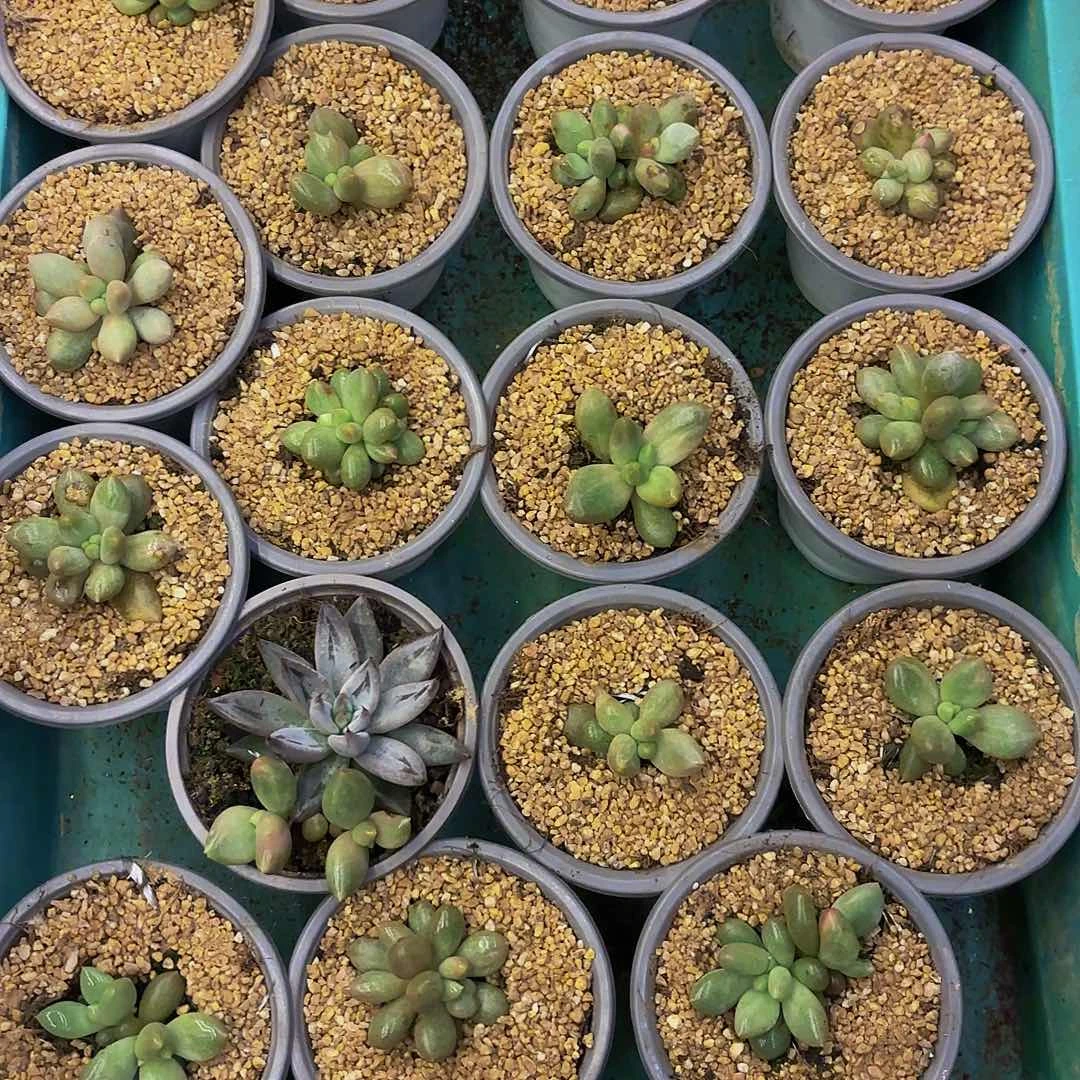 7***7啦啦啦啦啦啦啦啦啦啦啦啦啦