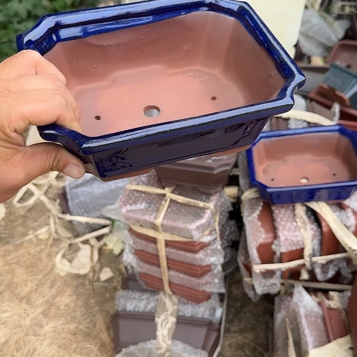 不用来咯哦啦啊哦啊