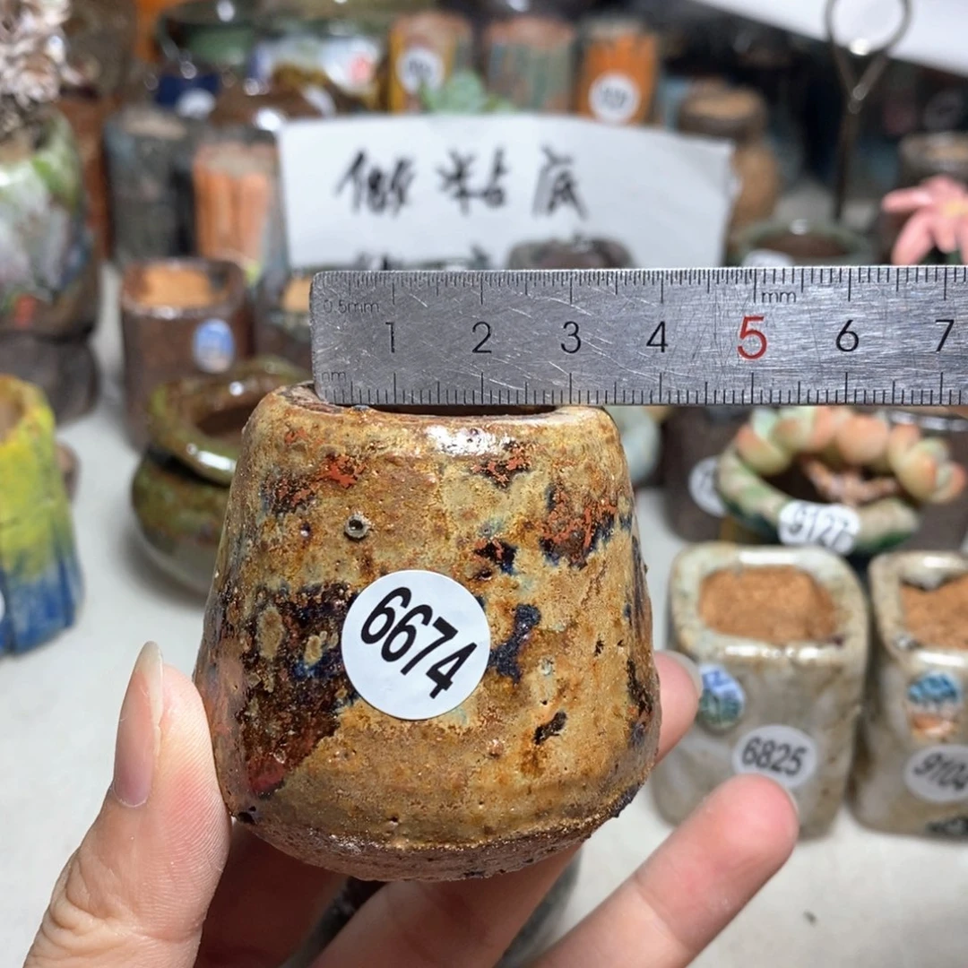 拍5送一个小礼物