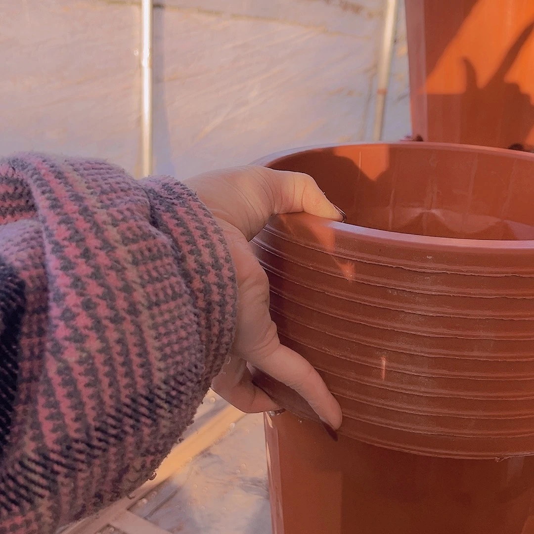 口径25高25红砖盆10个