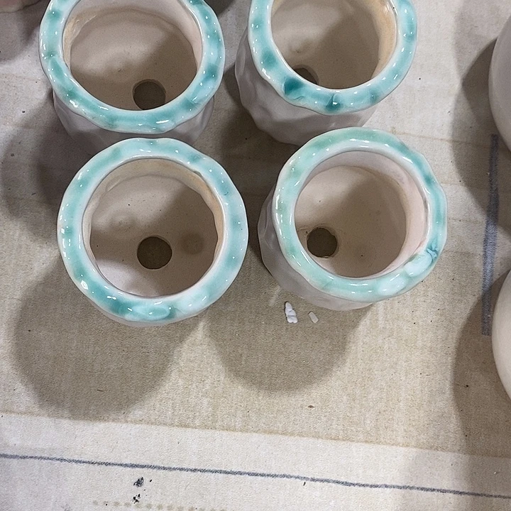花盆抢购清货马上开始