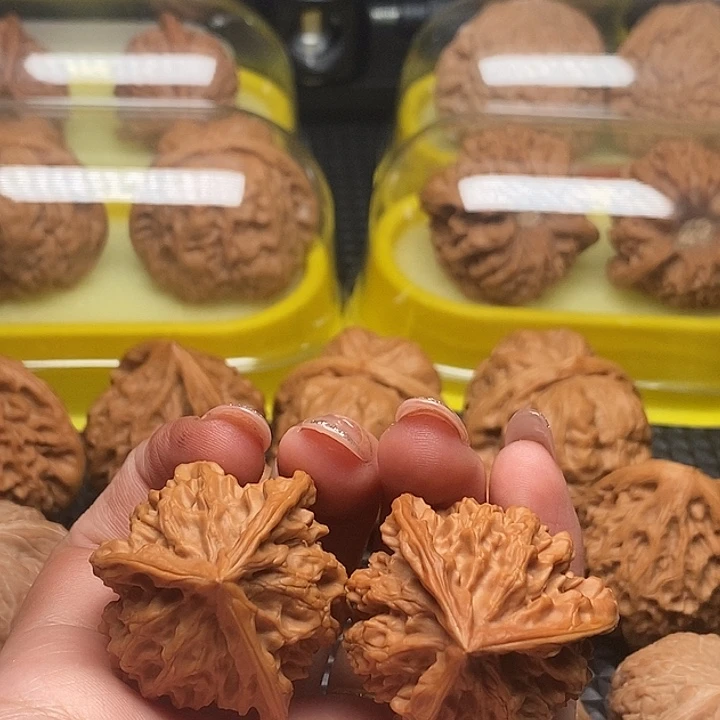 三棱天然36