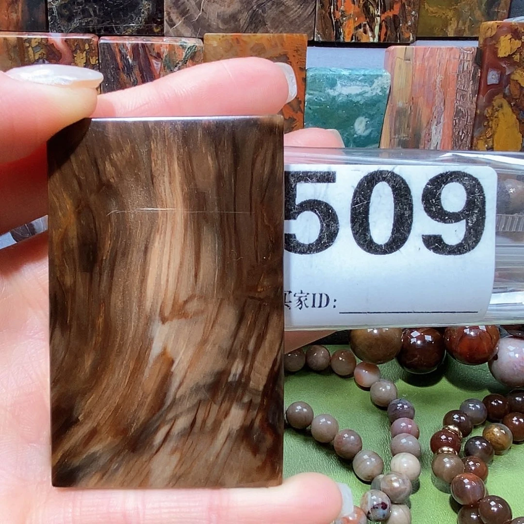 未镶嵌天然北票树化玉吊坠硅化玉