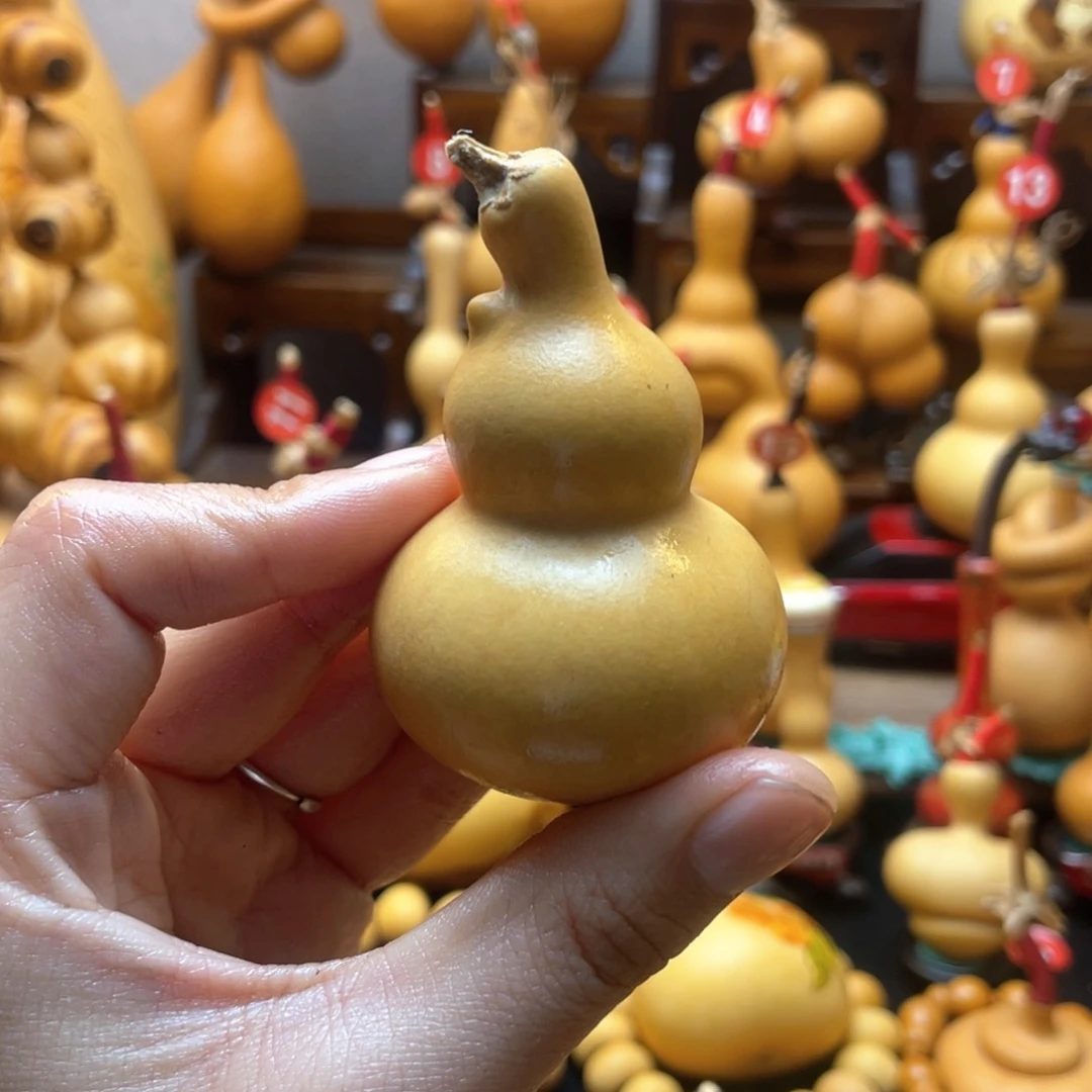 t*大自然的秘密第十一节你是