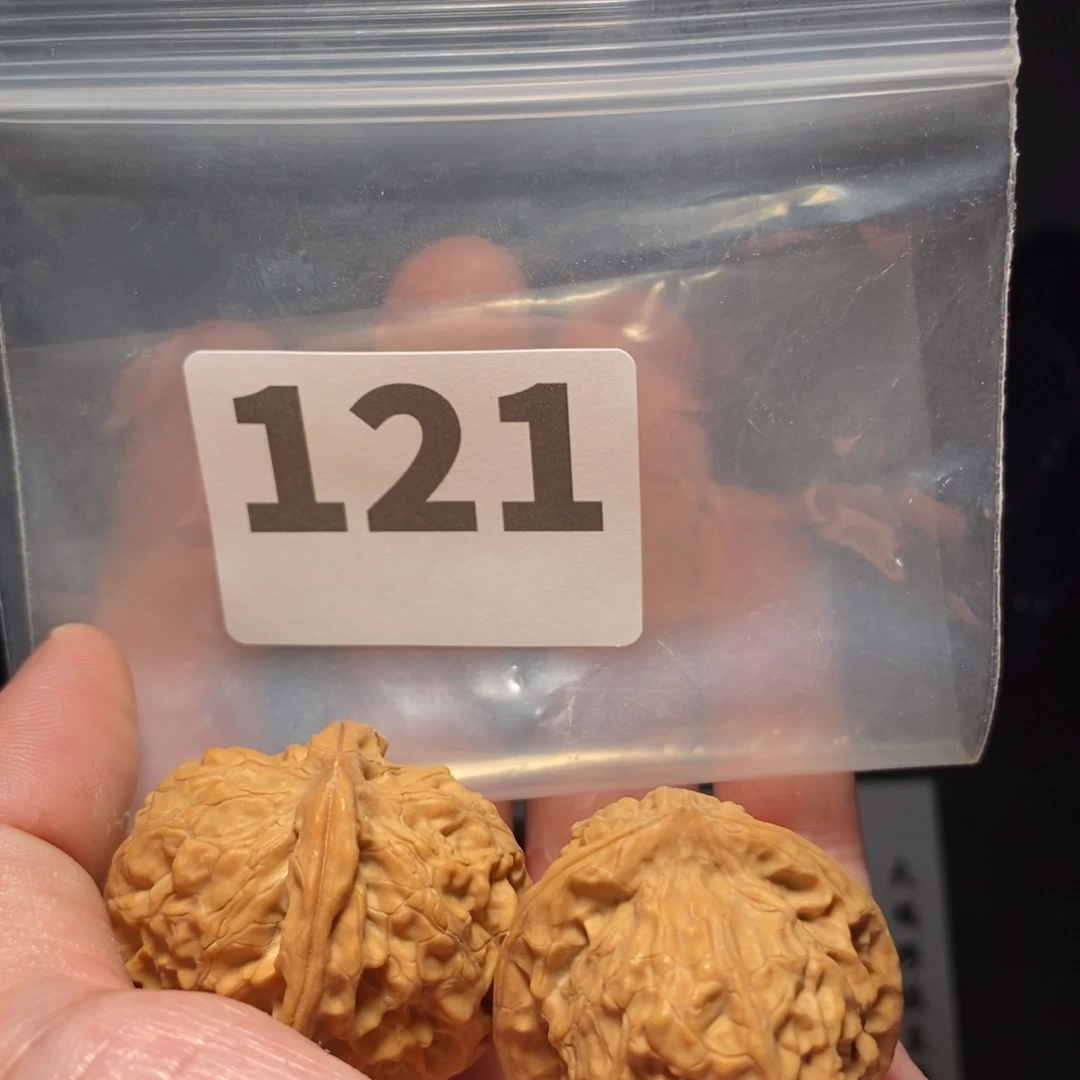 文玩核桃把件文玩核桃把件