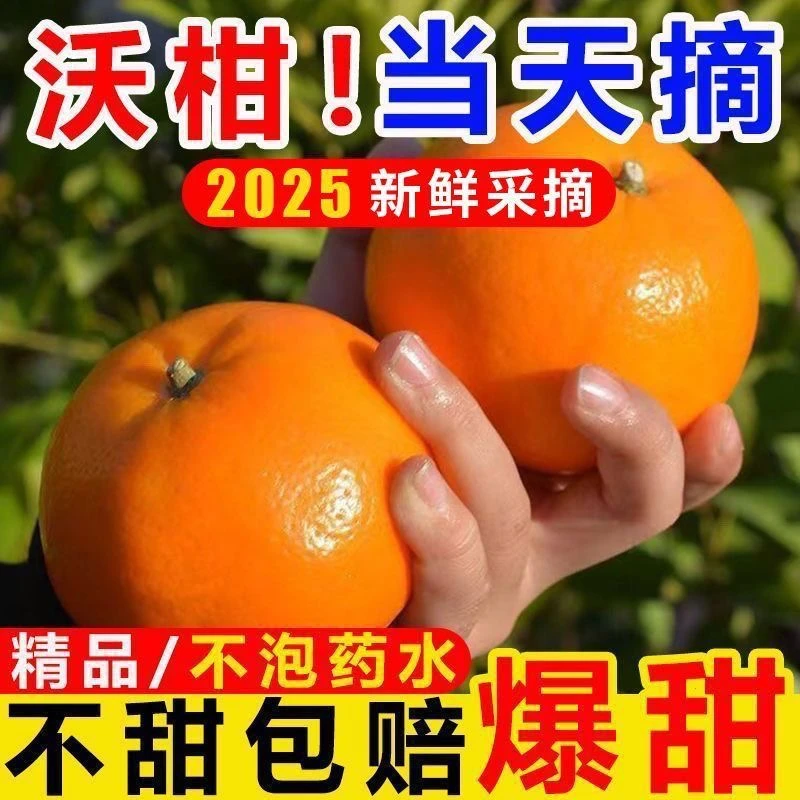 云南正宗薄皮沃柑新鲜现摘当季应季高原整箱甘甜水果柑橘橘子桔子