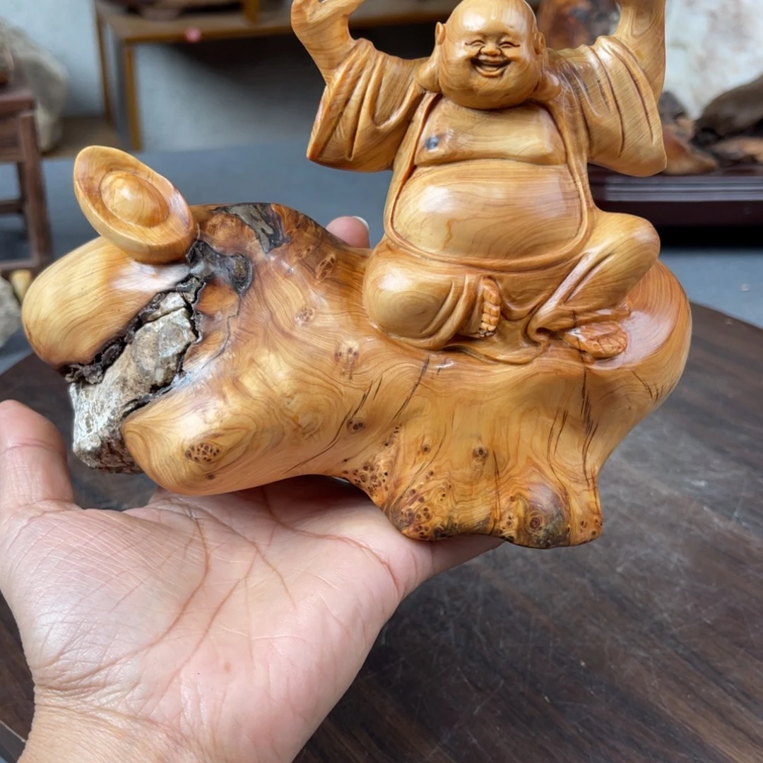 柏木（崖柏）崖柏太行山脉