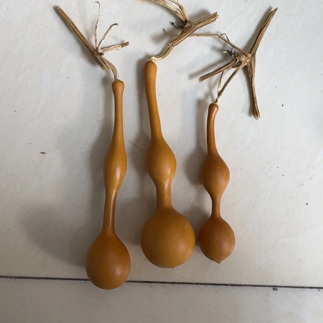 葫芦葫芦葫芦葫芦葫芦