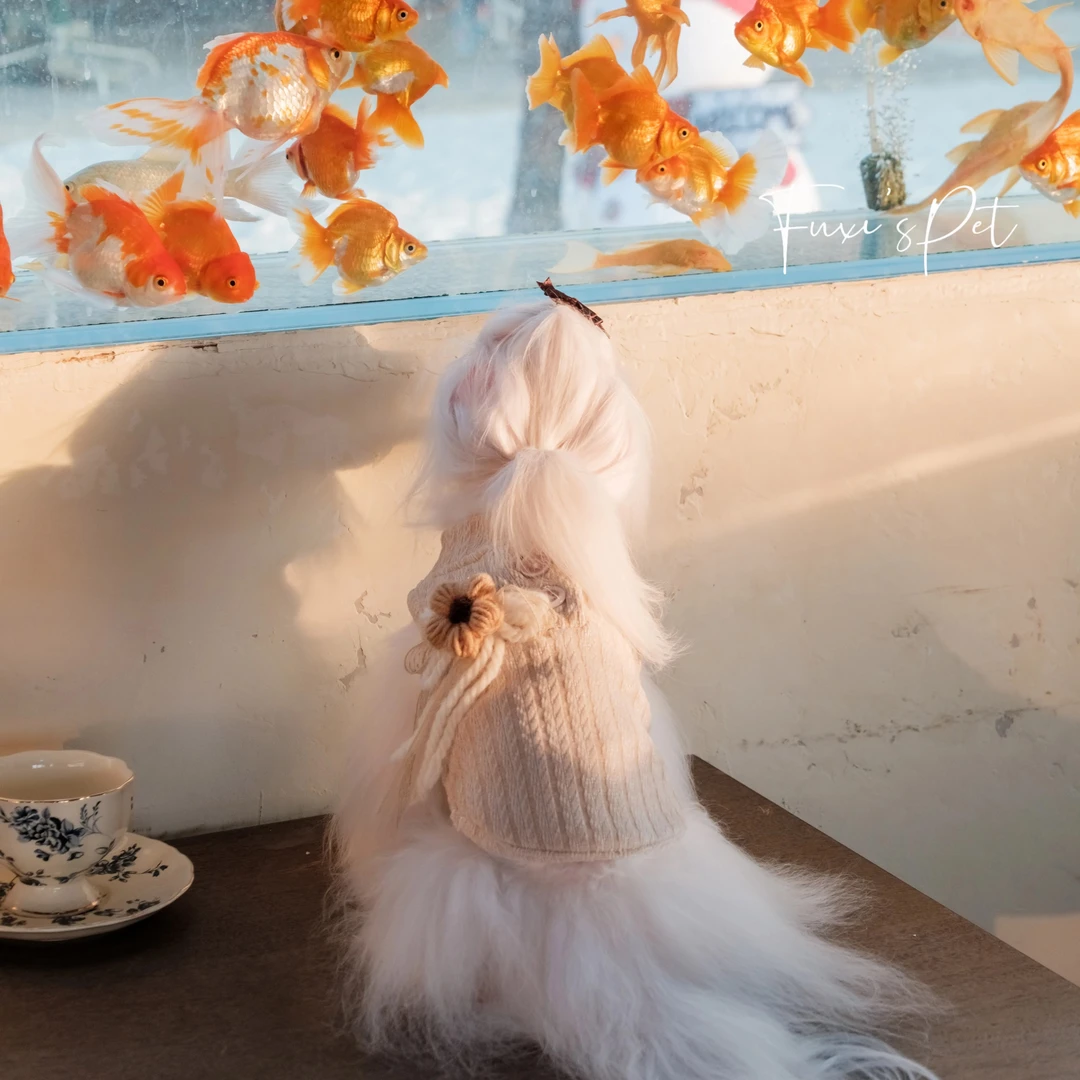 宠物服装冬季保暖马尔济斯约克夏雪纳瑞比熊韩版ins风