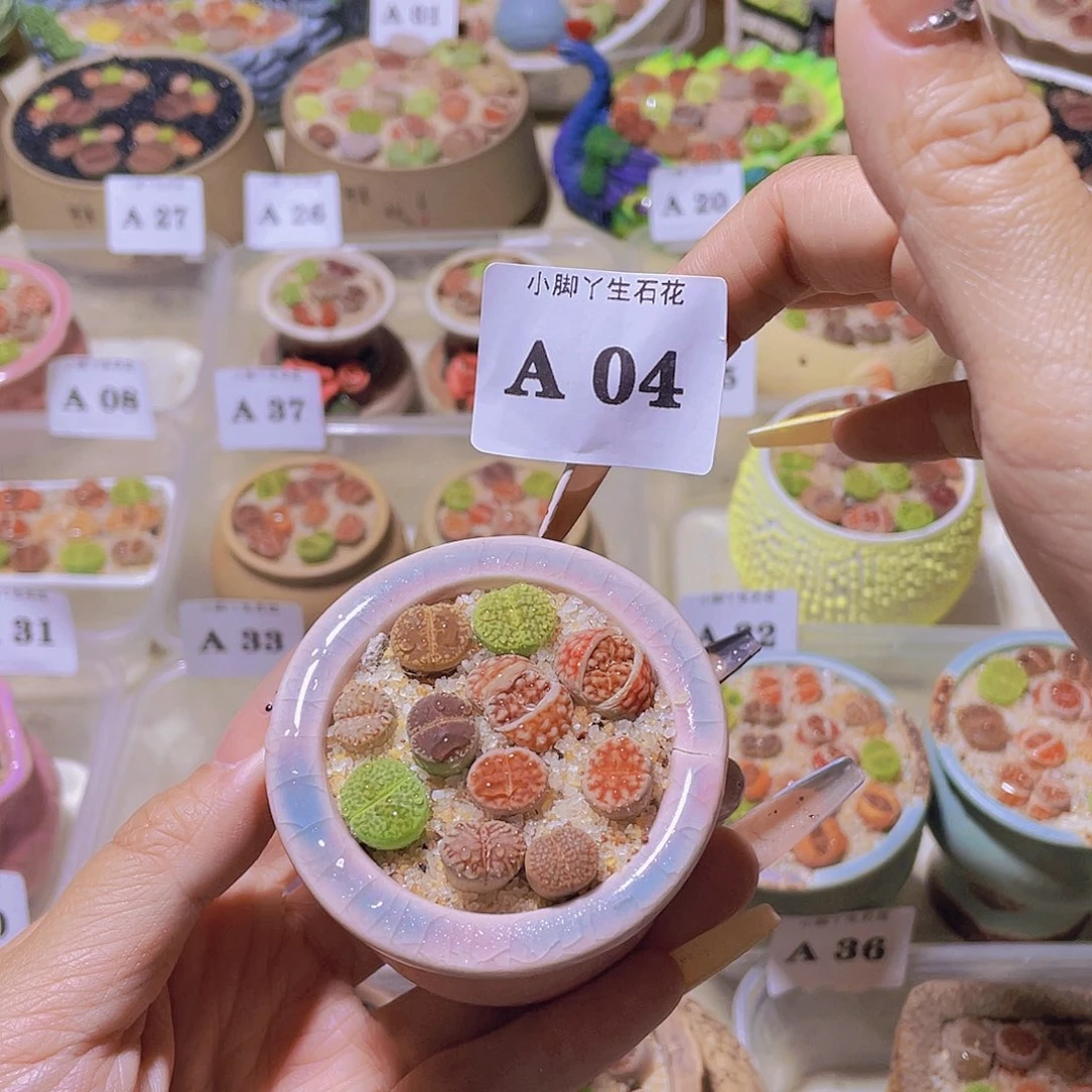 04。。。。。。。。。。。。。。。。
