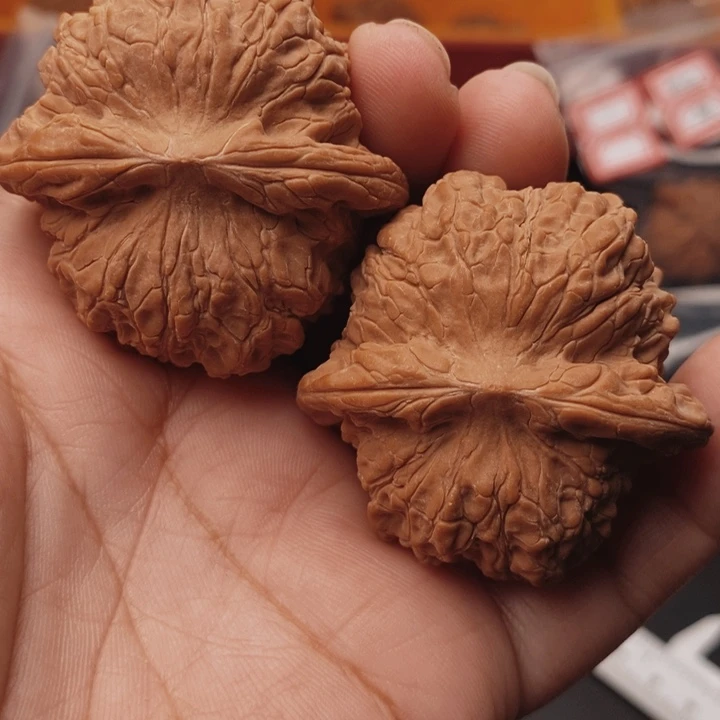 核桃血麒麟44尺核桃