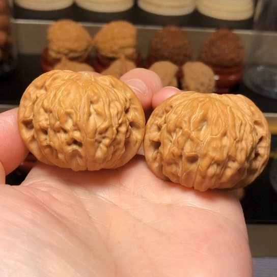 老树山地红皮闷尖磨