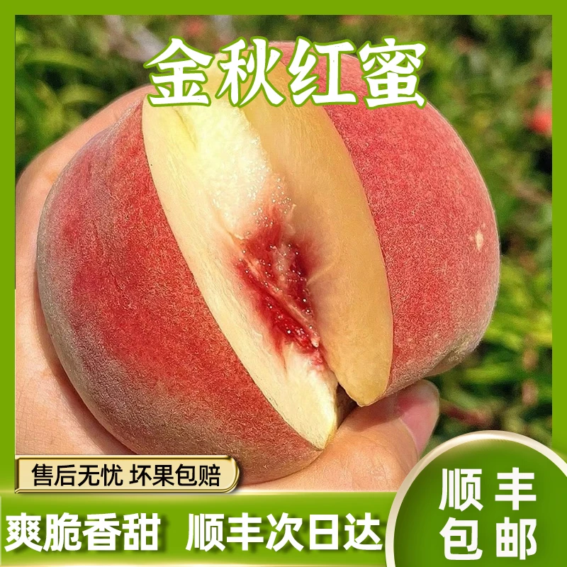 【顺丰次日达】金秋红蜜桃山东蒙阴2/5斤新鲜采摘脆软两吃顺丰包邮山东省山东省