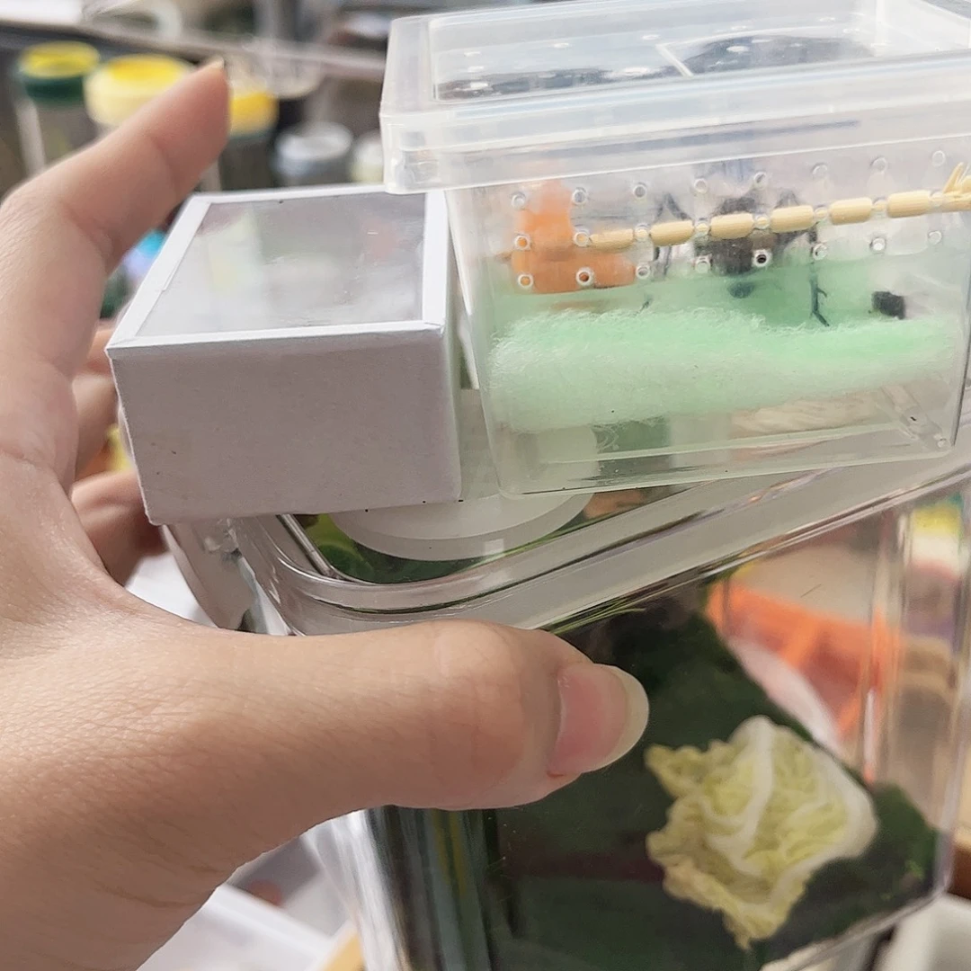 生态加竹蛉加电报人工