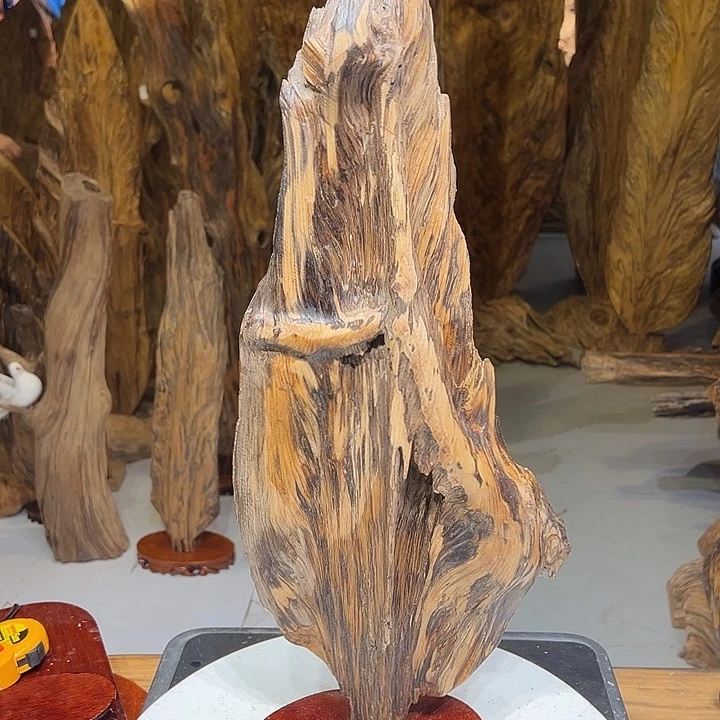 松木（琥珀木）明**?